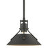 Hubbardton Forge Henry Mini Pendant in Bronze Finish Model: 184250-SKT-MULT-05-02
