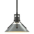 Hubbardton Forge Henry Mini Pendant in Bronze Finish Model: 184250-SKT-MULT-05-02