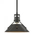 Hubbardton Forge Henry Mini Pendant in Bronze Finish Model: 184250-SKT-MULT-05-02