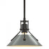 Hubbardton Forge Henry Mini Pendant in Bronze Finish Model: 184250-SKT-MULT-05-02