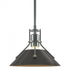 Hubbardton Forge Henry Mini Pendant in Bronze Finish Model: 184250-SKT-MULT-05-02
