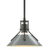 Hubbardton Forge Henry Mini Pendant in Bronze Finish Model: 184250-SKT-MULT-05-02