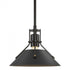 Hubbardton Forge Henry Mini Pendant in Bronze Finish Model: 184250-SKT-MULT-05-02