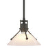 Hubbardton Forge Henry Mini Pendant in Bronze Finish Model: 184253-SKT-MULT-05-FD0673