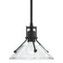 Hubbardton Forge Henry Mini Pendant in Bronze Finish Model: 184253-SKT-MULT-05-FD0673