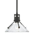 Hubbardton Forge Henry Mini Pendant in Bronze Finish Model: 184253-SKT-MULT-05-FD0673