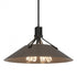 Hubbardton Forge Henry Pendant Model: 136340-SKT-MULT-02-84