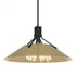 Hubbardton Forge Henry Pendant Model: 136340-SKT-MULT-86-14