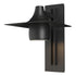 Hubbardton Forge Hood Large Dark Sky Outdoor Sconce in Coastal Oil Rubbed Bronze Finish Model: 306567-SKT-14