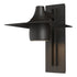 Hubbardton Forge Hood Large Dark Sky Outdoor Sconce in Coastal Oil Rubbed Bronze Finish Model: 306567-SKT-14