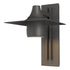 Hubbardton Forge Hood Large Dark Sky Outdoor Sconce in Coastal Oil Rubbed Bronze Finish Model: 306567-SKT-14