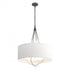 Hubbardton Forge Loop Pendant Model: 104230-SKT-07-05-SE2811