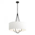 Hubbardton Forge Loop Pendant Model: 104230-SKT-10-82-SE2811