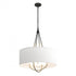Hubbardton Forge Loop Pendant Model: 104230-SKT-10-82-SE2811
