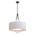 Hubbardton Forge Loop Pendant Model: 104230-SKT-10-82-SE2811