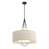 Hubbardton Forge Loop Pendant Model: 104230-SKT-10-82-SE2811