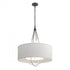 Hubbardton Forge Loop Pendant Model: 104230-SKT-14-82-SA2811