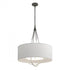 Hubbardton Forge Loop Pendant Model: 104230-SKT-20-84-SA2811