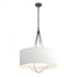Hubbardton Forge Loop Pendant Model: 104230-SKT-20-84-SA2811