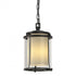 Hubbardton Forge Meridian Outdoor Ceiling Fixture in Coastal Oil Rubbed Bronze Finish Model: 365610-SKT-14-ZS0297