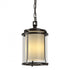Hubbardton Forge Meridian Outdoor Ceiling Fixture in Coastal Oil Rubbed Bronze Finish Model: 365610-SKT-14-ZS0297