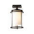 Hubbardton Forge Meridian Outdoor Semi Flush in Coastal Oil Rubbed Bronze Finish Model: 365605-SKT-14-ZS0297