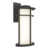 Hubbardton Forge Province Large Outdoor Sconce in Coastal Oil Rubbed Bronze Finish Model: 305655-SKT-14-GG0387