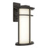 Hubbardton Forge Province Large Outdoor Sconce in Coastal Oil Rubbed Bronze Finish Model: 305655-SKT-14-GG0387
