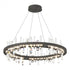 Hubbardton Forge Solitude Circular LED Pendant in Bronze Finish Model: 139915-LED-STND-05-CR