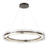 Hubbardton Forge Solstice LED Pendant in Bronze Finish Model: 139780-LED-STND-05-ZM0518