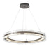 Hubbardton Forge Solstice LED Pendant in Bronze Finish Model: 139780-LED-STND-05-ZM0518