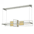 Hubbardton Forge Summer LED Pendant Model: 139754-LED-STND-85-85