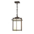 Hubbardton Forge Tourou Large Outdoor Ceiling Fixture in Coastal Natural Iron Finish Model: 366007-SKT-20-GG0112