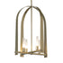 Hubbardton Forge Triomphe 4 Light Pendant Model: 131070-SKT-MULT-89-FD0462