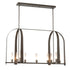 Hubbardton Forge Triomphe 9 Light Linear Pendant Model: 131075-SKT-MULT-89-FD0462