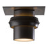 Hubbardton Forge Twilight Dark Sky Friendly Outdoor Semi Flush in Coastal Oil Rubbed Bronze Finish Model: 364903-SKT-14