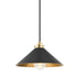 Hudson Valley Clivedon 1 LIGHT PENDANT in Aged Brass Finish Model: MDS1401-AGB/DB