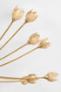 Hudson Valley Falkirk Semi Flush in Vintage Gold Leaf Finish Model: 5422-VGL