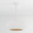 Hudson Valley Ferndale Pendant in Gesso White Finish Model: 2224-GSW
