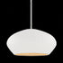 Hudson Valley Ferndale Pendant in Gesso White Finish Model: 2236-GSW