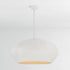 Hudson Valley Ferndale Pendant in Gesso White Finish Model: 2236-GSW