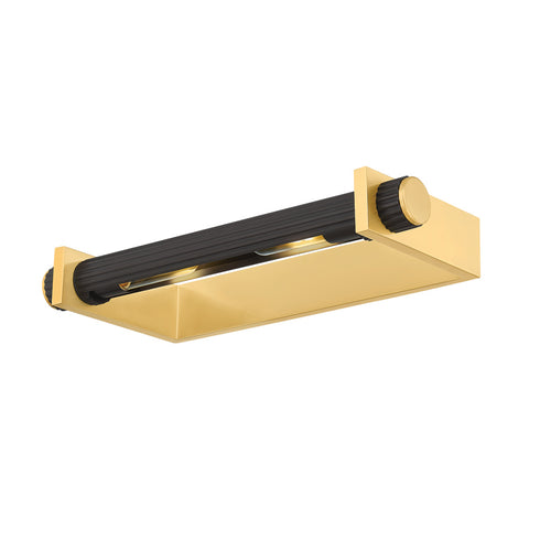 Hudson Valley JUDD Picture Light in Aged Brass Distressed Bronze Finish Model: 1319-AGB/DB