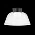 Hudson Valley Lakeside Flush Mount in Aged Brass Finish Model: 3520-AGB