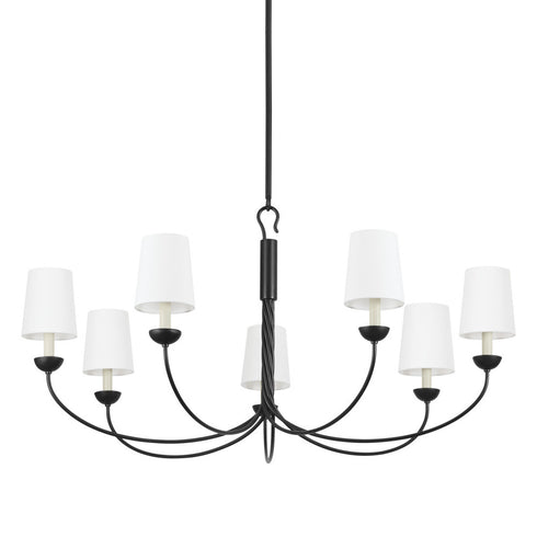 Hudson Valley Montpelier Chandelier in Aged Iron Finish Model: 5307-AI