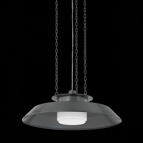 Hudson Valley Woodrow Pendant in Aged Brass Finish Model: 8822-AGB