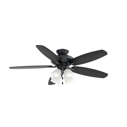 Kichler 52 Inch Renew Premier Fan Model: 330162SBK