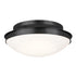 Kichler Bretta 3 Light Flush Mount Model: 52545PN