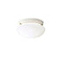 Kichler Ceiling Space 2 Light Flush Mount Model: 209NI