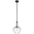 Kichler Everly
1 Light Pendant Model: 42141CHCLR