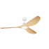 Kichler Imari
LED 65 Inch Imari Fan Model: 300365MWH